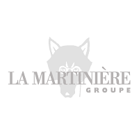 Descargar La Martiniere Groupe