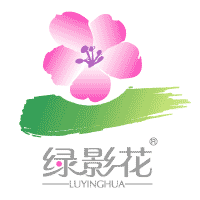 Download Lvyinghua