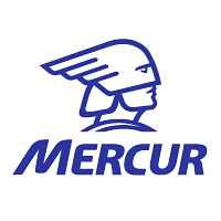 Download Mercur