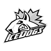 Download Mississauga Ice Dogs