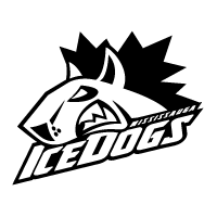 Download Mississauga Ice Dogs