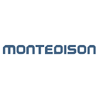 Download Montedison