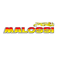 Download MALOSSI - Engines and special parts