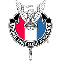 Descargar NESA National Eagle Scout Association logo