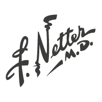 Download Netter M.D.