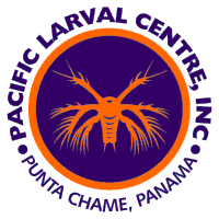 Download PACIFIC LARVAL