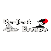 Download Perfect Escape