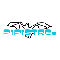 Download Pipistrel