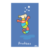 Download Proteas