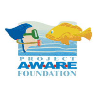 Download project aware foundation