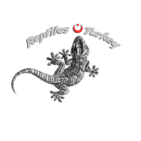 Download Reptiles Turkey