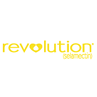Download Revolution