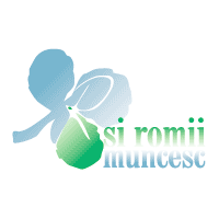 Download Rsi Romii Muncesc