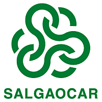 Download Salgaocar