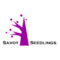 Descargar Savoy Seedlings