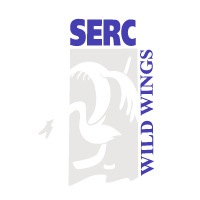 Download Schwenninger Wild Wings