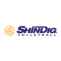 Download ShinDig Volleyball