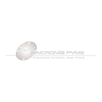 Download Sincron?a Pyme (publicidad integral)