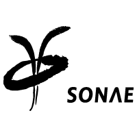 Download Sonae