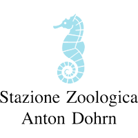 Stazione Zoologica A. Dohrn