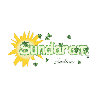 Download Sundaram Jardines