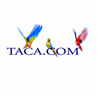 Download TACA Air Lines