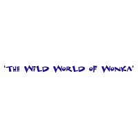 The Wild World of Wonka
