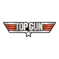 Download Top Gun