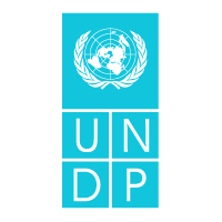 Descargar UNDP